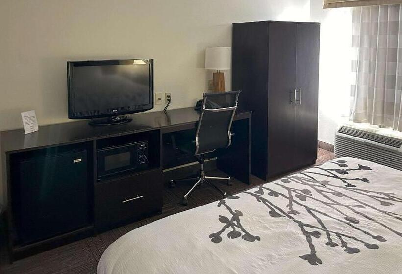 스탠다드 룸 킹사이즈 침대, Sleep Inn Wilson Near I 95