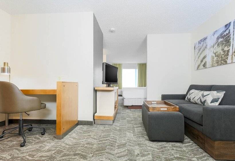 Люкс, Springhill Suites By Marriott Houston Brookhollow