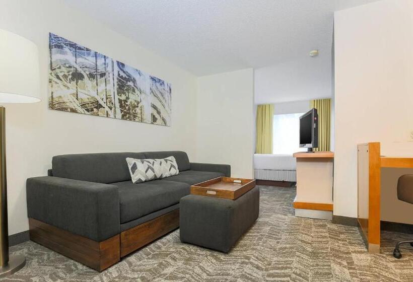 Люкс Кровать Кинг, Springhill Suites By Marriott Houston Brookhollow