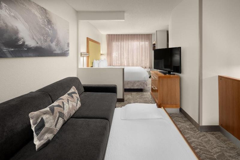 クイーンベッドのスタンダードスタジオ, Springhill Suites Pasadena Arcadia