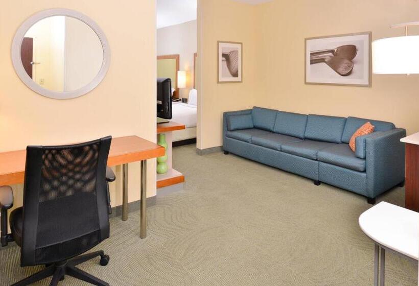 Люкс Кровать Кинг, Springhill Suites Pinehurst Southern Pines