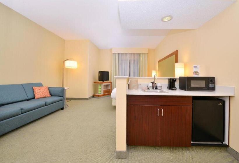 Люкс, Springhill Suites Pinehurst Southern Pines
