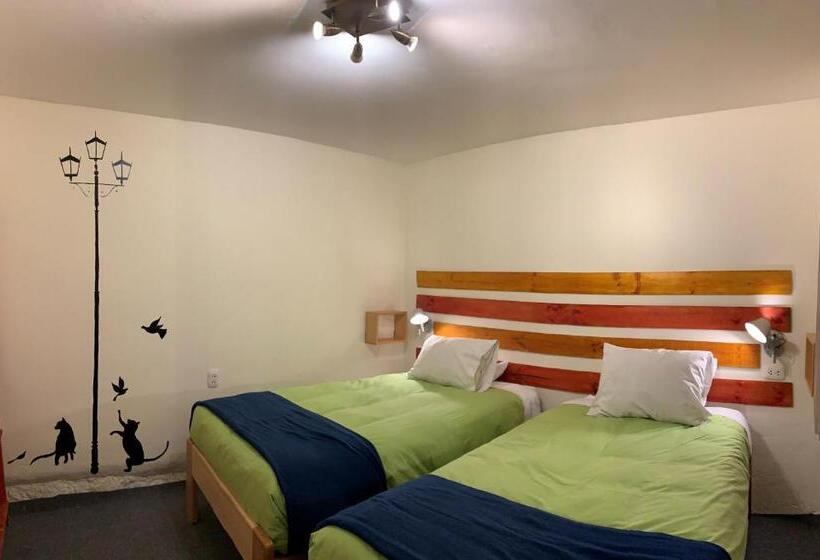 غرفة إقتصادية, Gaia House Hostel