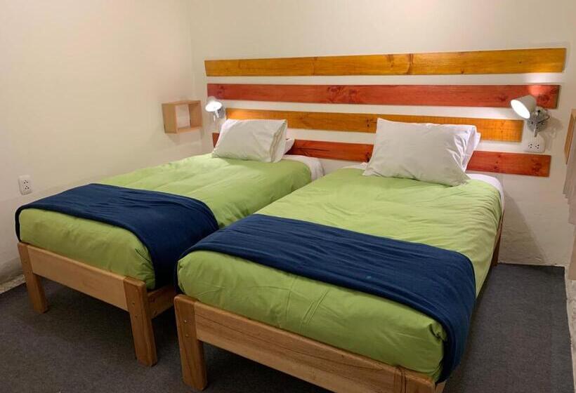 غرفة إقتصادية, Gaia House Hostel