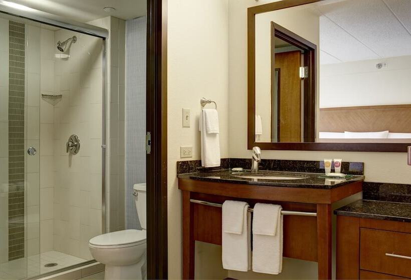 Номер Стандарт 2 Двуспальные Кровати, Hyatt Place Atlanta Airport South