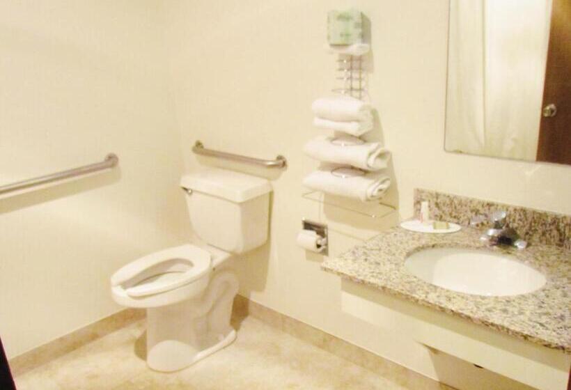 Номер Стандарт Адаптированный для Инвалидов, Surestay Hotel By Best Western Williams   Grand Canyon
