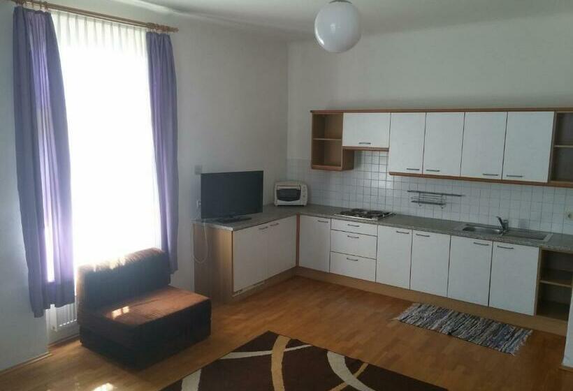 １ベッドルームアパートメント, Villa Residence Santer