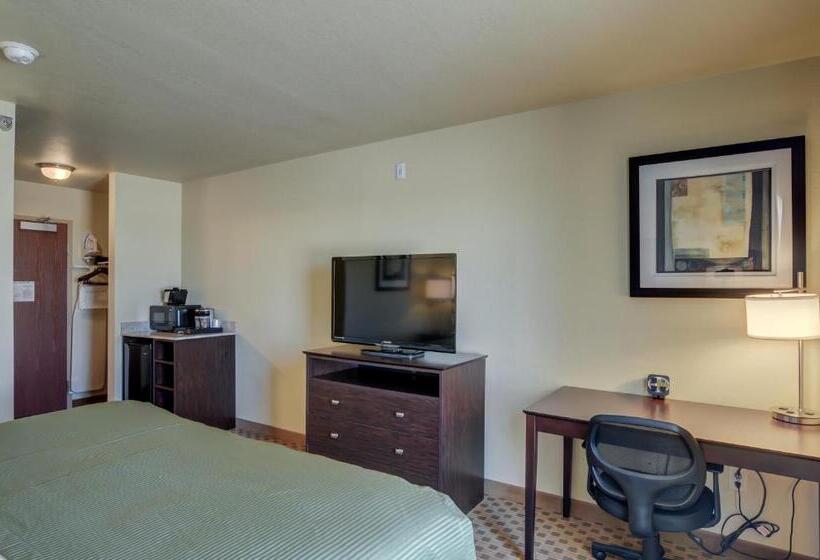 带大床的标准间, Cobblestone Inn & Suites  Ord