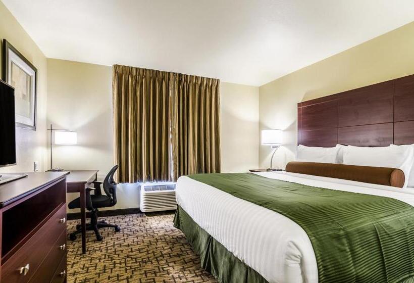Стандартный Номер Кровать Кинг, Cobblestone Inn & Suites  Ord
