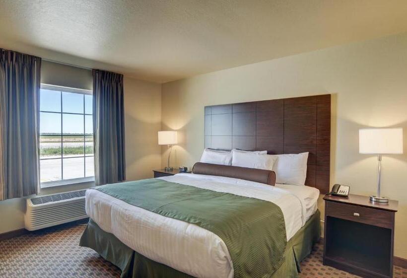 Стандартный Номер Кровать Кинг, Cobblestone Inn & Suites  Ord