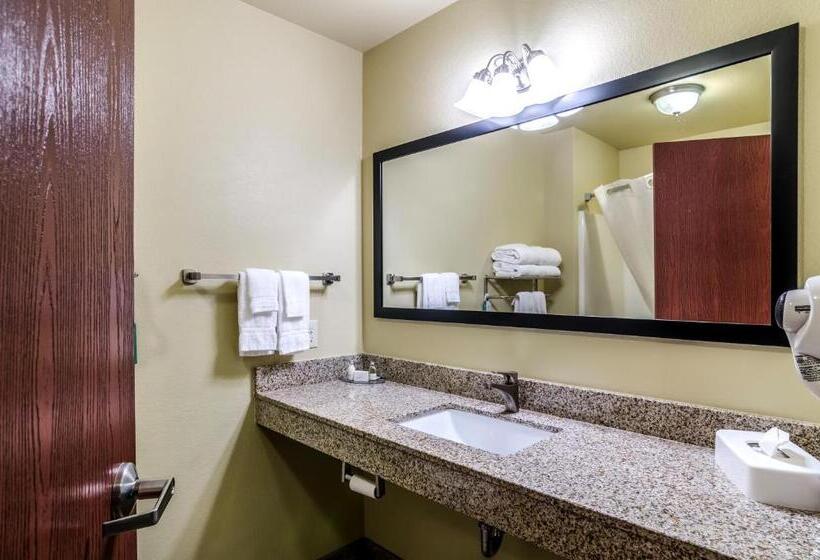 Люкс, Cobblestone Inn & Suites  Ord