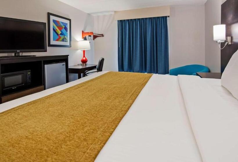 Номер Стандарт Кровать Кинг Адаптированный для Инвалидов, Surestay Hotel By Best Western Florence