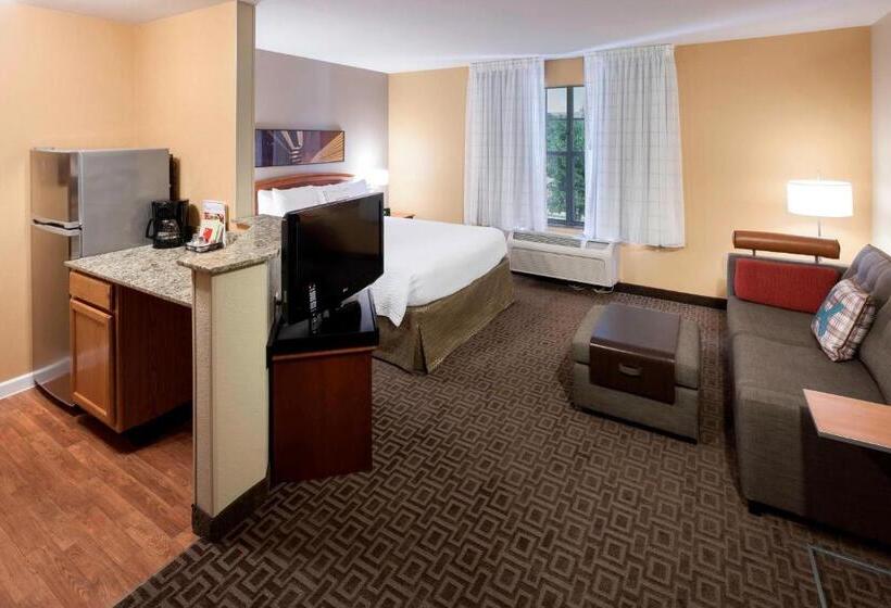 استودیوی استاندارد اینتریور, Towneplace Suites Dallas Las Colinas