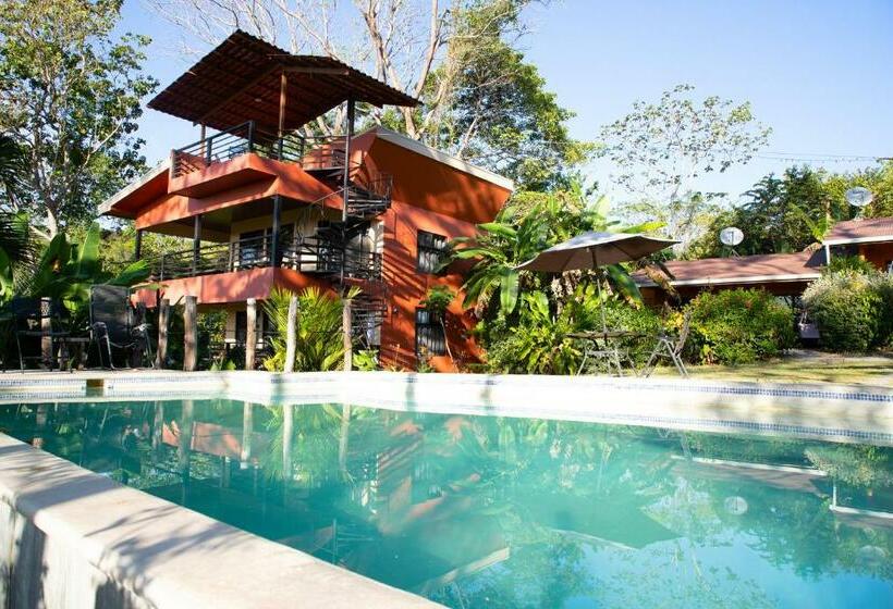 Номер Superior, Jungle Lodge At Wild Sun Rescue Center