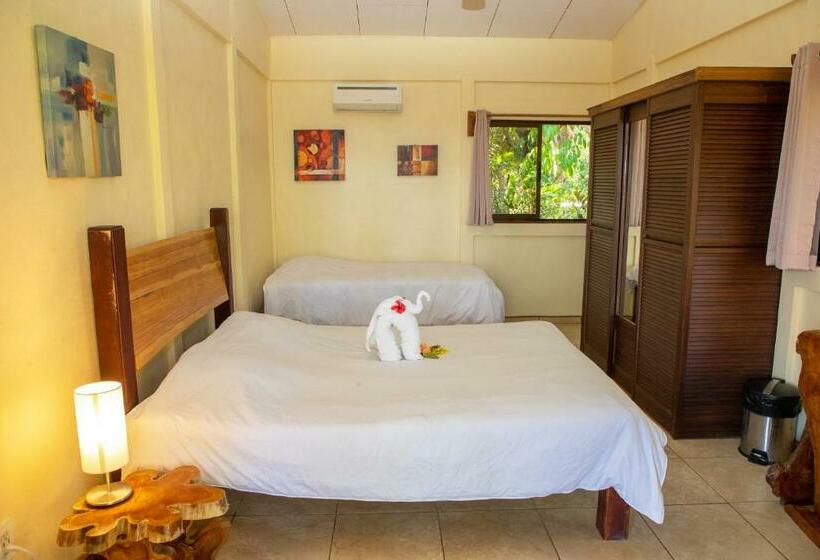 Номер Deluxe Вид на Море, Jungle Lodge At Wild Sun Rescue Center