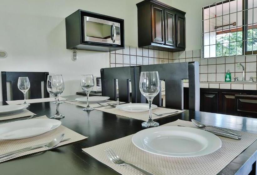 آپارتمان 1 خوابه با چشم‌انداز, Condo S Vista Al Volcan