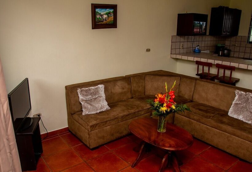 آپارتمان خانوادگی 2 خوابه, Condo S Vista Al Volcan
