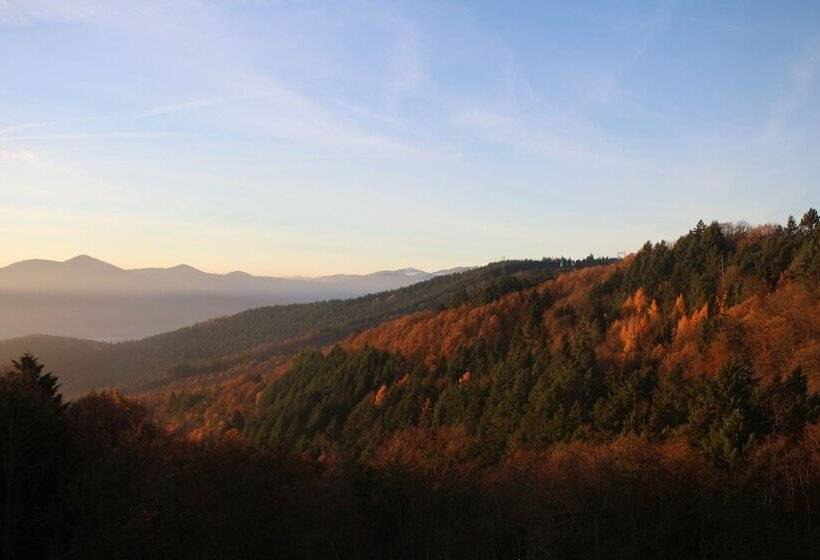 Номер Комфорт, L'hostellerie Le Turckheim Croix D'or