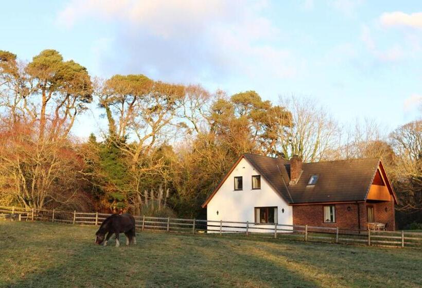Номер Стандарт Вид на Сад, Plas Dolau Country Estate