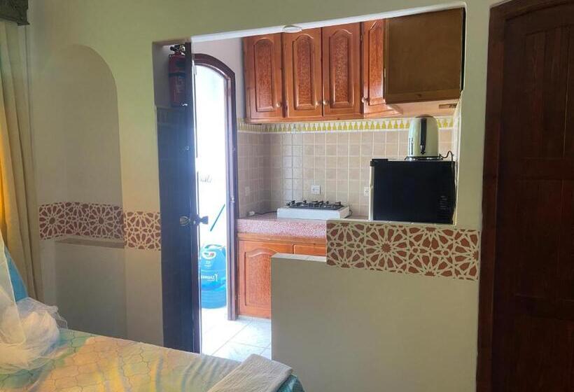 Апартаменты 1 Спальня, Riad Salt River