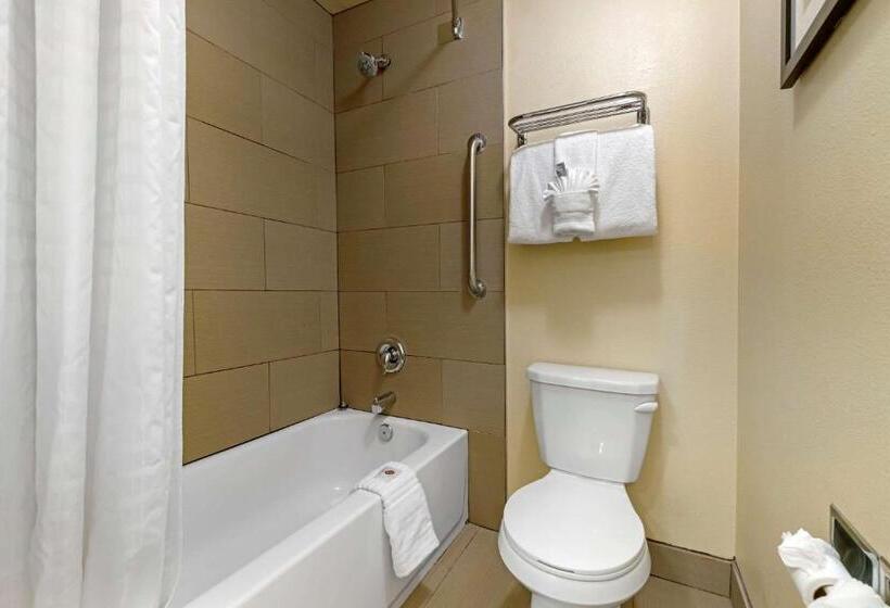 带2个双人床的标准工作室, Comfort Inn Gaslamp Convention Center
