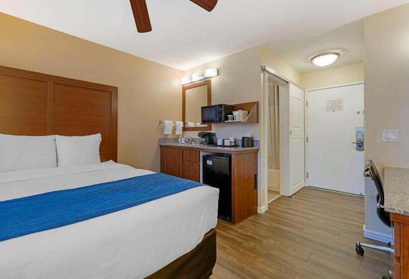适合残疾人士使用的带超级大床的标准间, Comfort Inn Gaslamp Convention Center