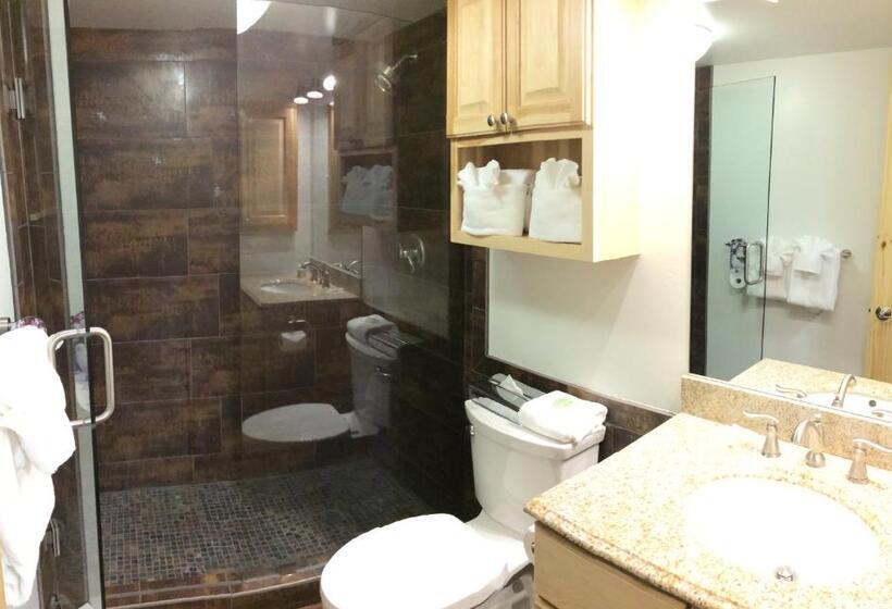 خانه 3 خوابه, Vail Racquet Club Mountain Resort