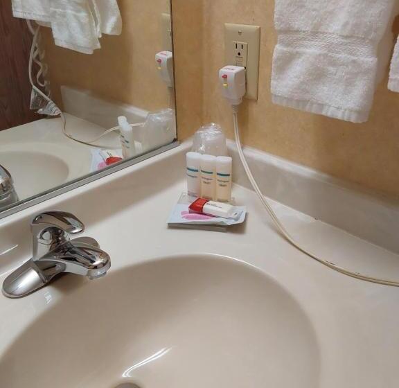 جناح إدارى, Lavissh Inn & Suites