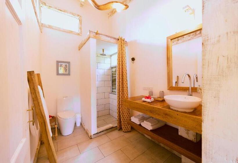 Студия Стандарт, Sonora Jungle & Yoga Retreat