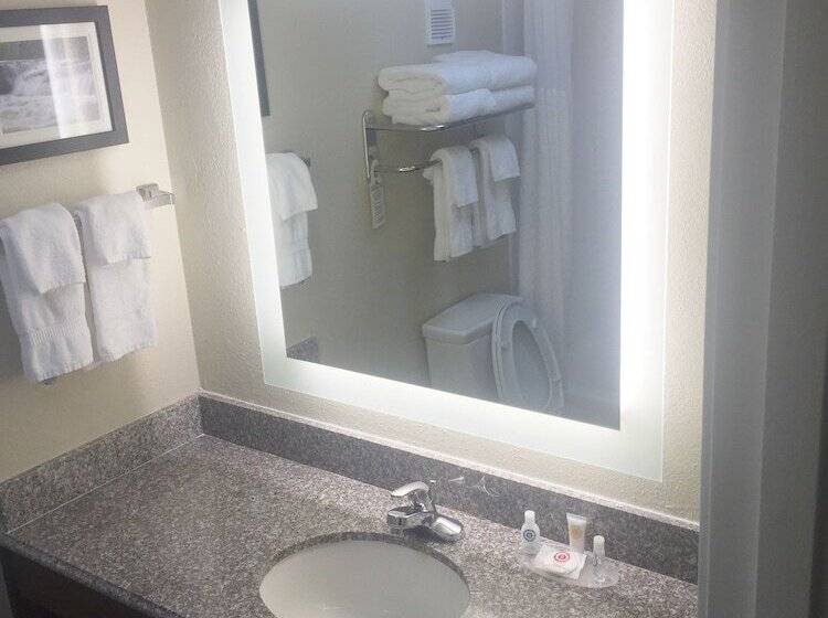 Люкс, Comfort Inn & Suites Airport