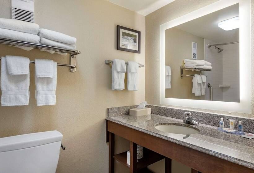 Люкс, Comfort Inn & Suites Airport