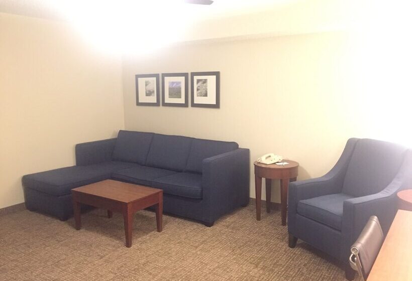 Люкс, Comfort Inn & Suites Airport
