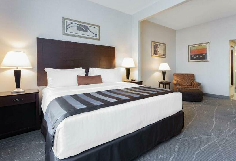 Стандартный Номер Кровать Кинг, Wingate By Wyndham Tinley Park