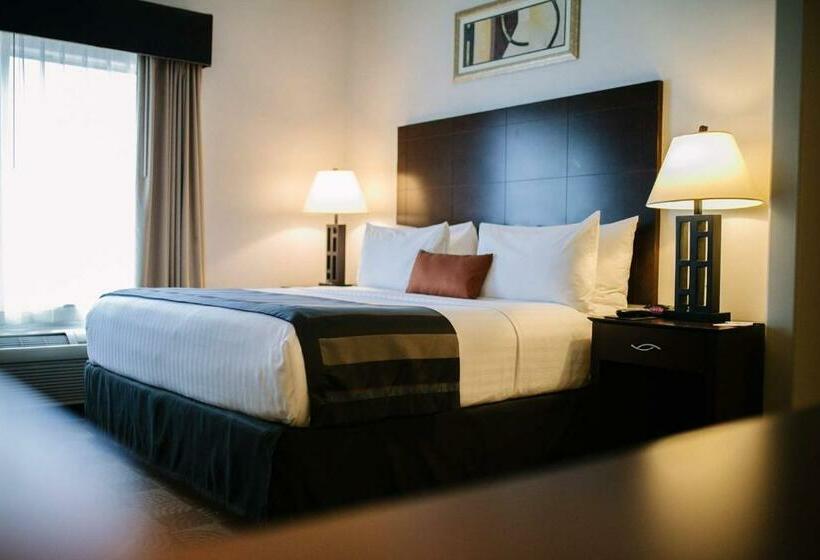 Номер Deluxe Кровать Кинг, Wingate By Wyndham Tinley Park