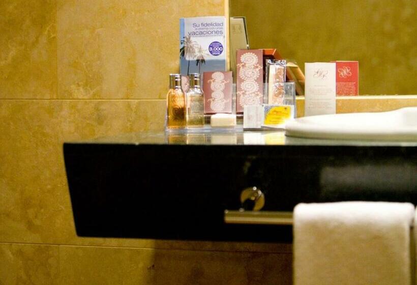 スタンダードシングルルーム, Sercotel Palacio De Tudemir