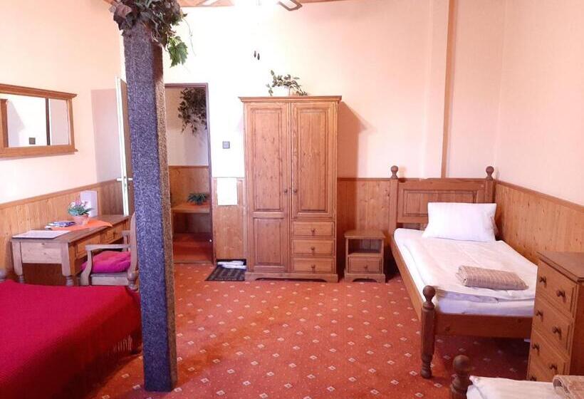 Трехместный Номер Стандарт Совместная Ванная, Garni Hotel Asas