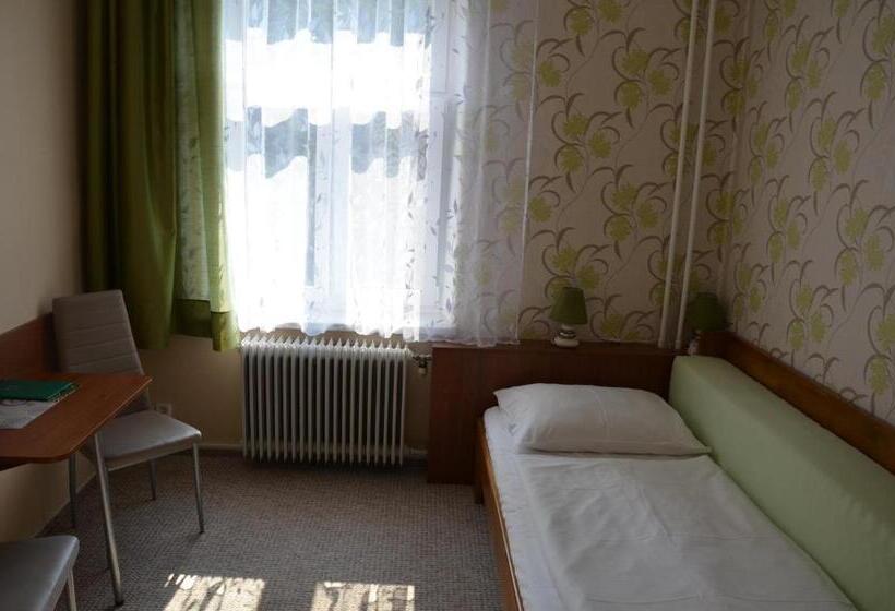 اتاق استاندارد یک نفره, Penzion Ostravanka