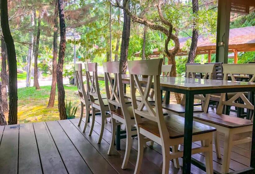 Вилла 1 Спальня, New Green Sentul Resort