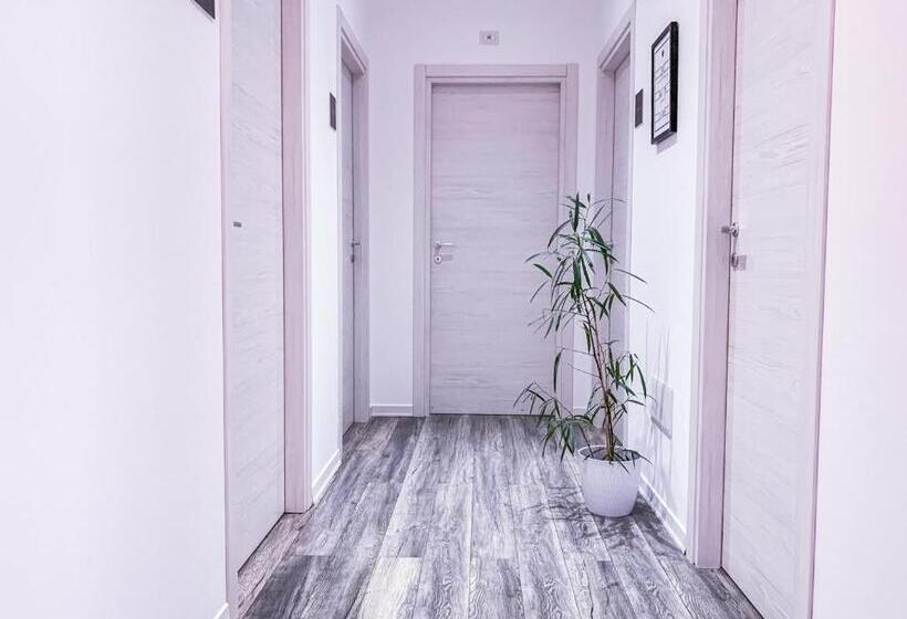 Номер Стандарт, Bb 26 Olbia