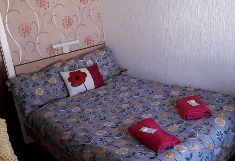 Номер Стандарт, Belroy