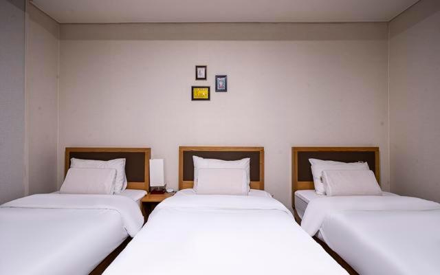 Quarto Triplo Estandar, Masan Amor