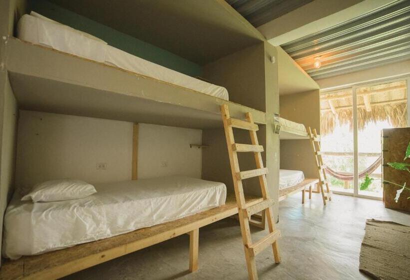 공동 객실, The Journey Hostel