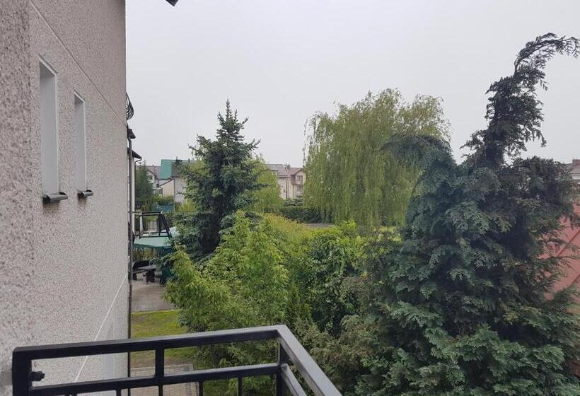 Номер Стандарт с Балконом, Dom Wczasowy Barbara