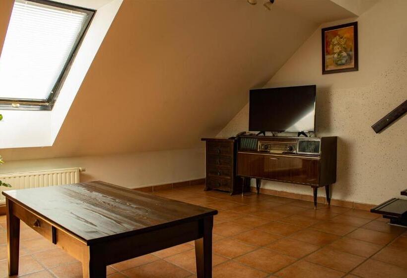 استودیوی استاندارد, črni Baron Pension Black Baron