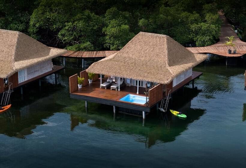 プール付き１ベッドルームヴィラ, Nayara Bocas Del Toro