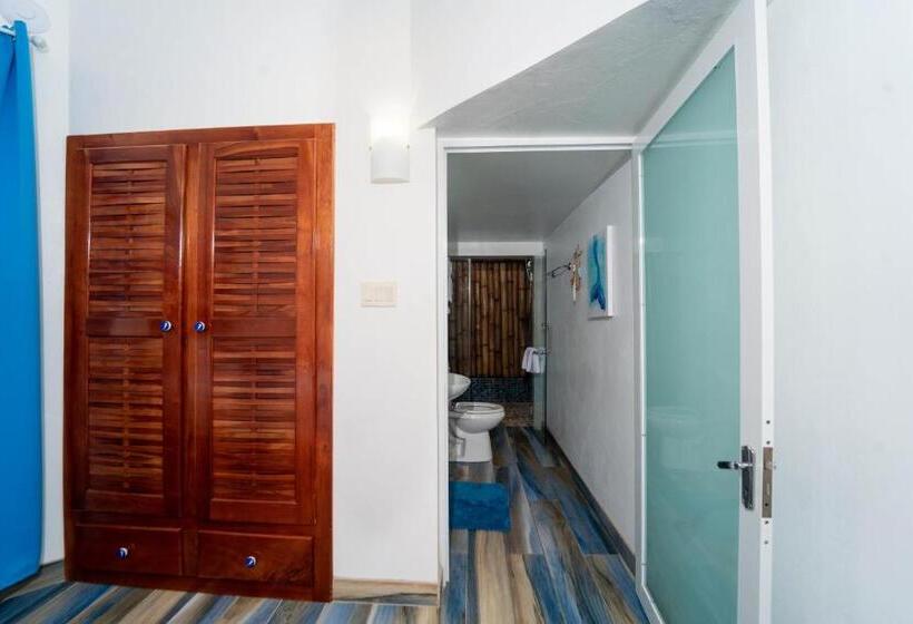 اتاق استاندارد با چشم‌انداز باغ, Blue Skies Beach Resort