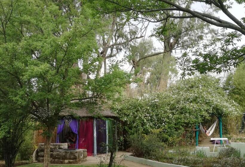 Люкс, Gypsy Guest House Clarens