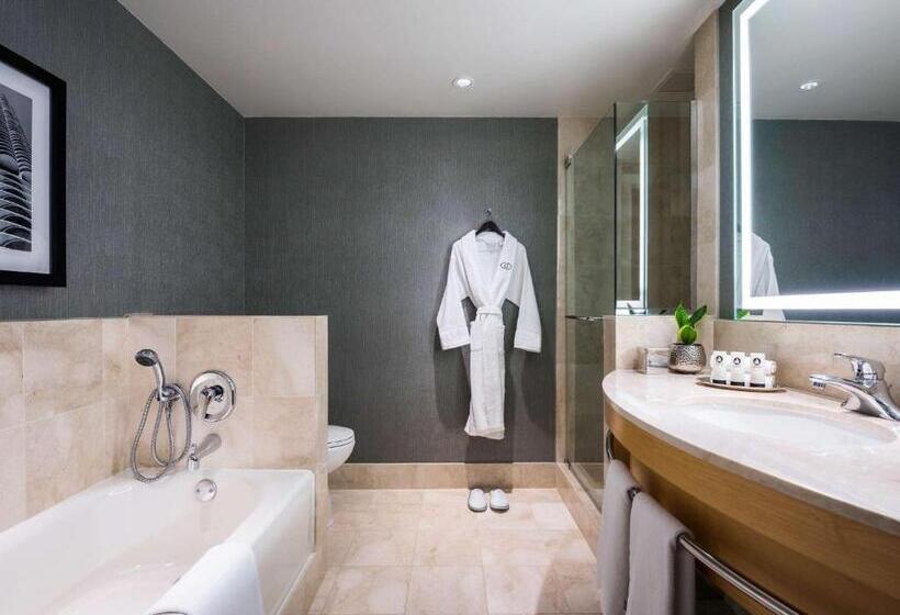 חדר דחוקס עם מיטת קינג, Sofitel Chicago Magnificent Mile