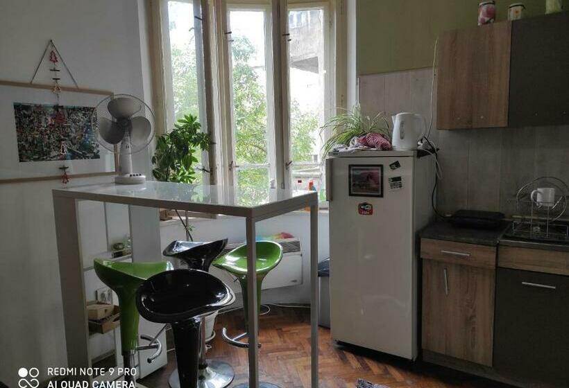اتاق استاندارد سه تخته با سرویس بهداشتی مشترک, Central Station Private Rooms