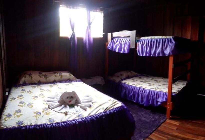 Четырехместный Номер Стандарт, Pensión Y Cabinas Colibrí B&b Costa Rica
